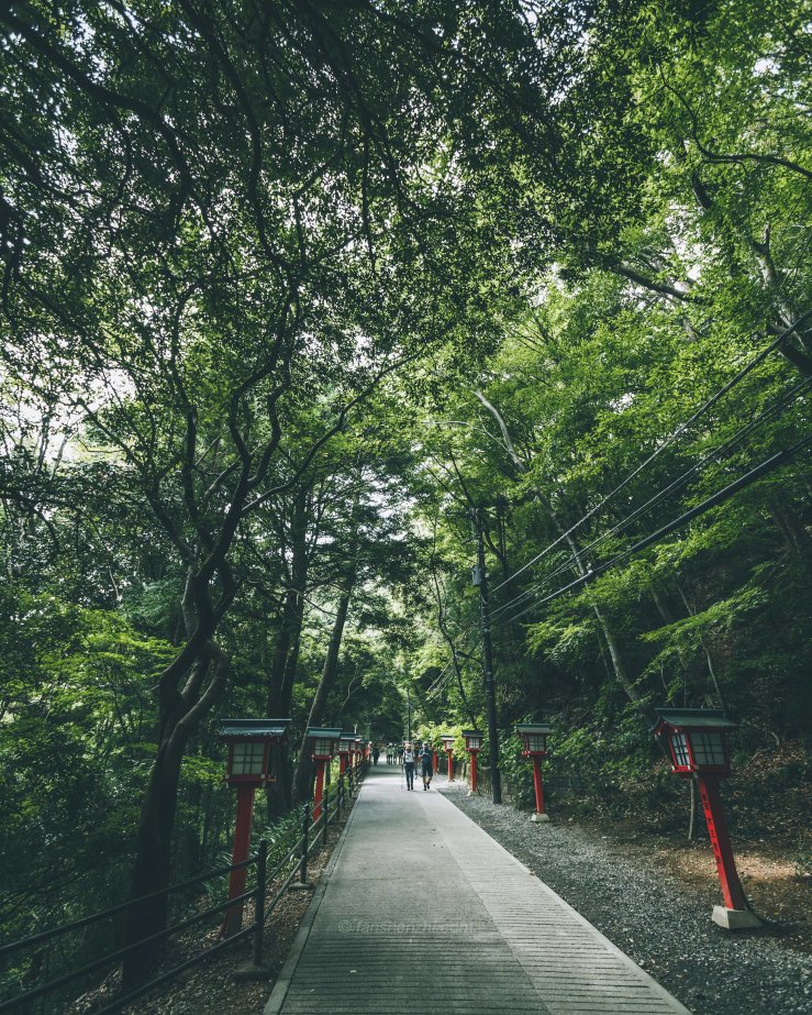 Tokyo WordPress-3436