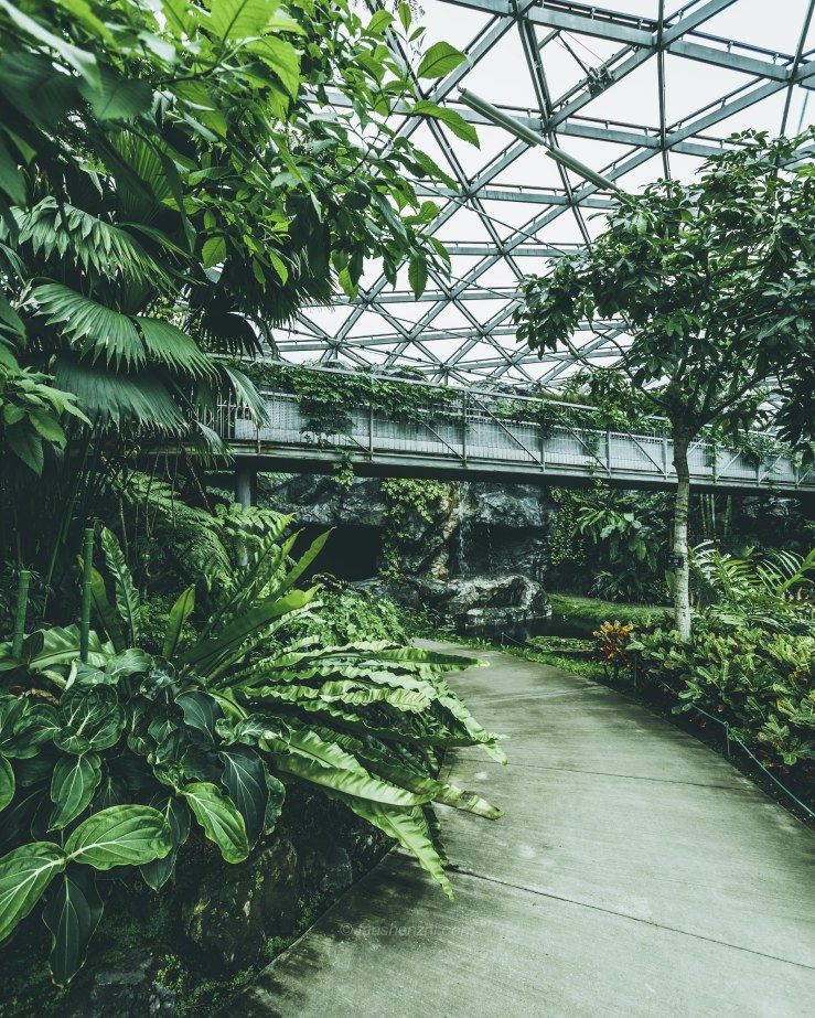 Tokyo WordPress-3805