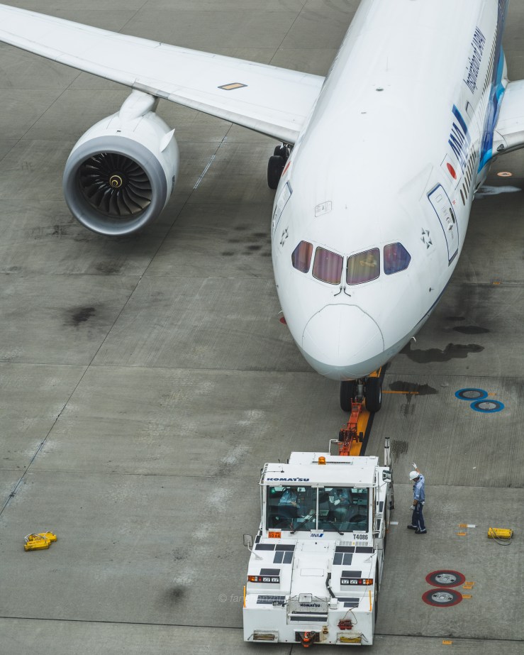 Tokyo WordPress-4616