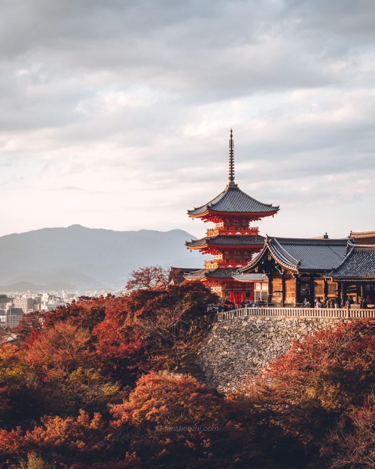 2017.11.13 日本国之行-WordPress-22