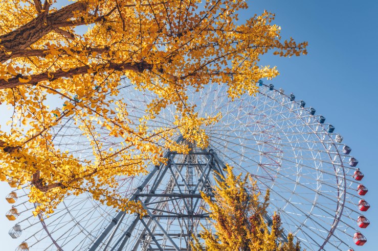 2017.11.13 日本国之行-WordPress-3