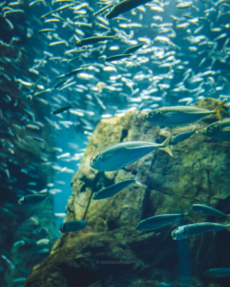 2017.11.13 日本国之行-WordPress-5