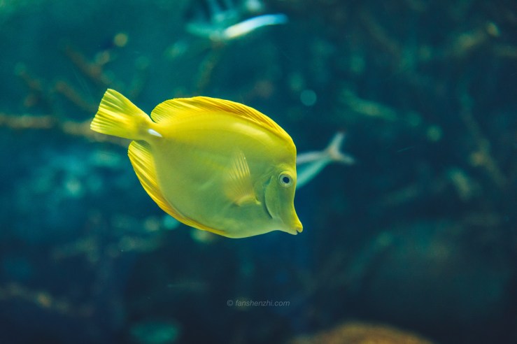 2017.11.13 日本国之行-WordPress-6