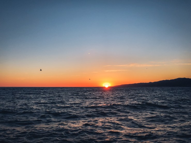 2018.3.美国日本游记 WordPress-120