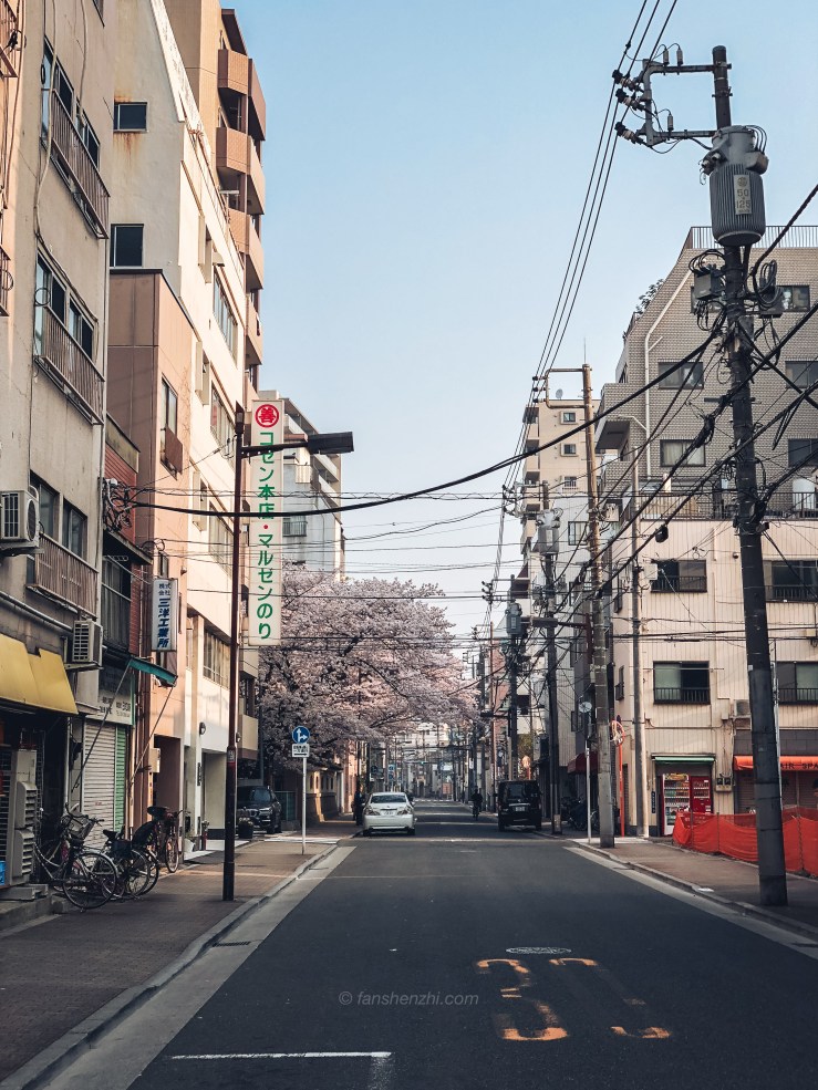 2018.3.美国日本游记 WordPress-125