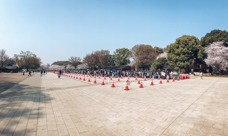 2018.3.美国日本游记 WordPress-129