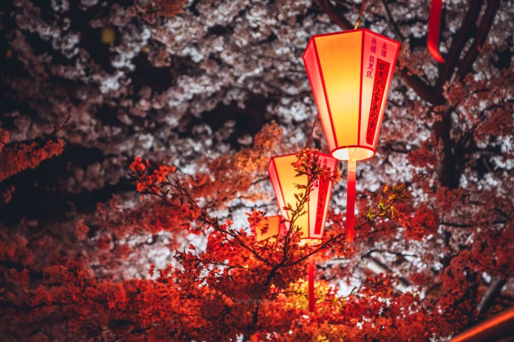 2018.3.美国日本游记 WordPress-134