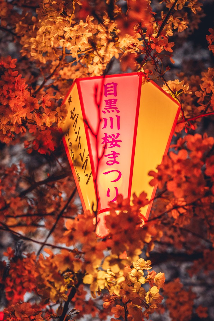 2018.3.美国日本游记 WordPress-135