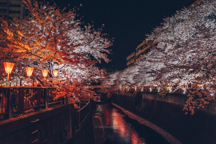 2018.3.美国日本游记 WordPress-136