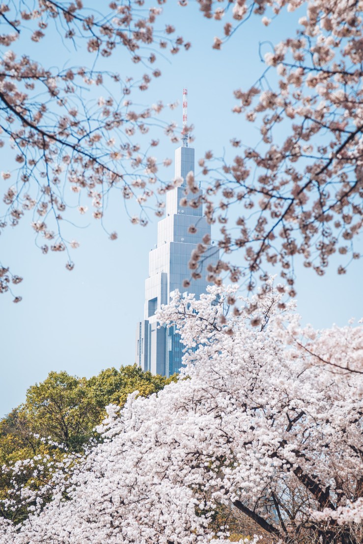 2018.3.美国日本游记 WordPress-144