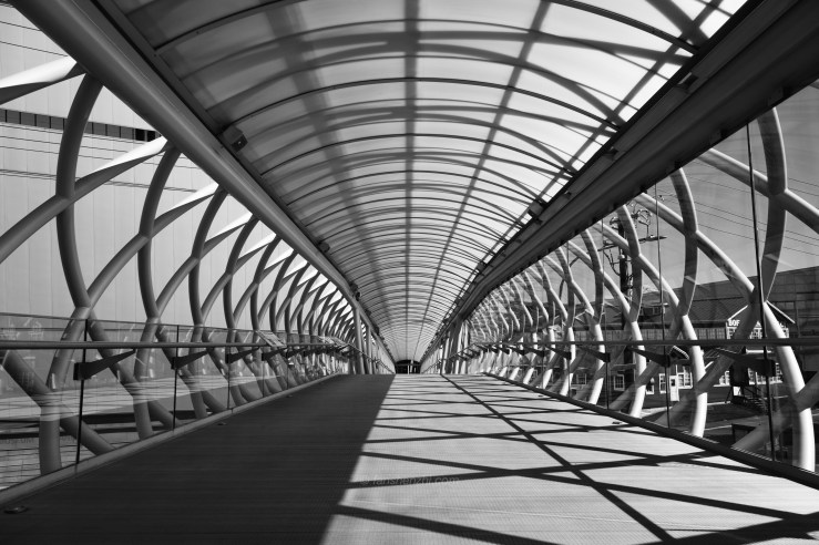 2018.3.美国日本游记 WordPress-15