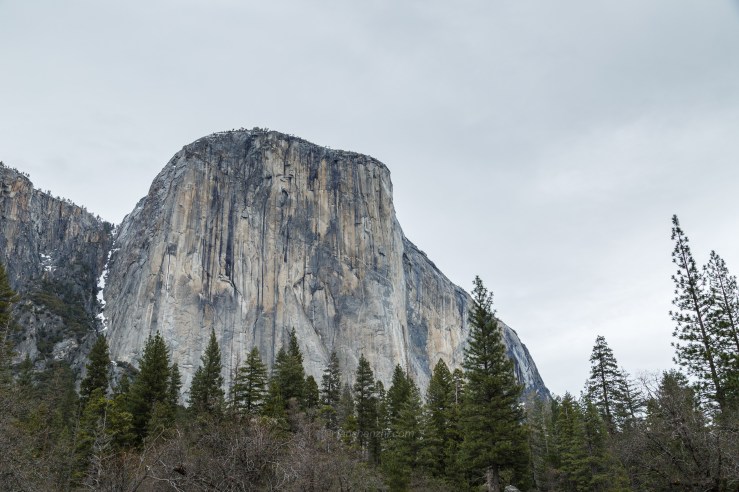 2018.3.美国日本游记 WordPress-55