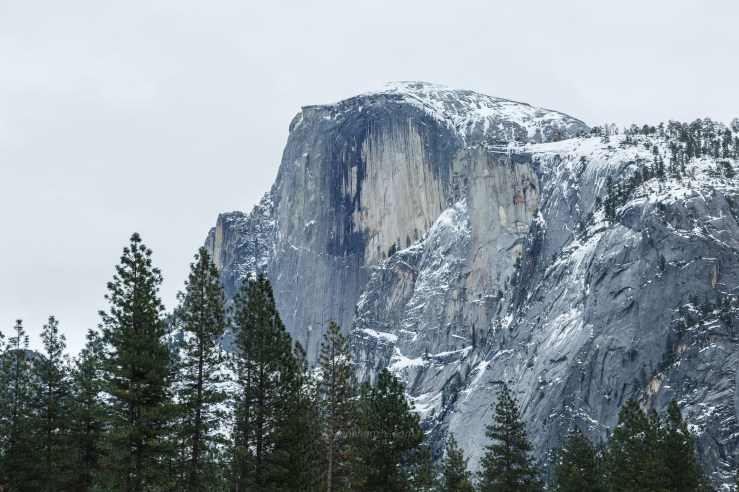 2018.3.美国日本游记 WordPress-56