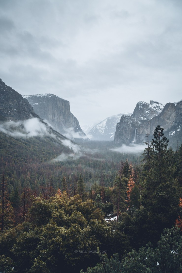 2018.3.美国日本游记 WordPress-57