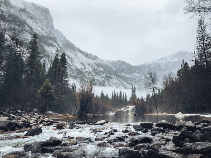 2018.3.美国日本游记 WordPress-61