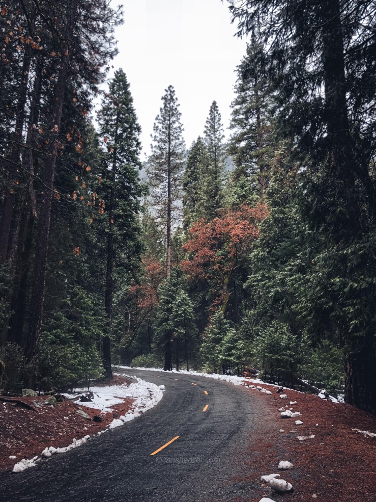 2018.3.美国日本游记 WordPress-63