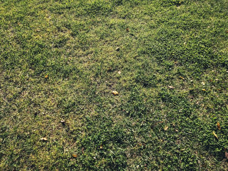 2018.3.美国日本游记 WordPress-82