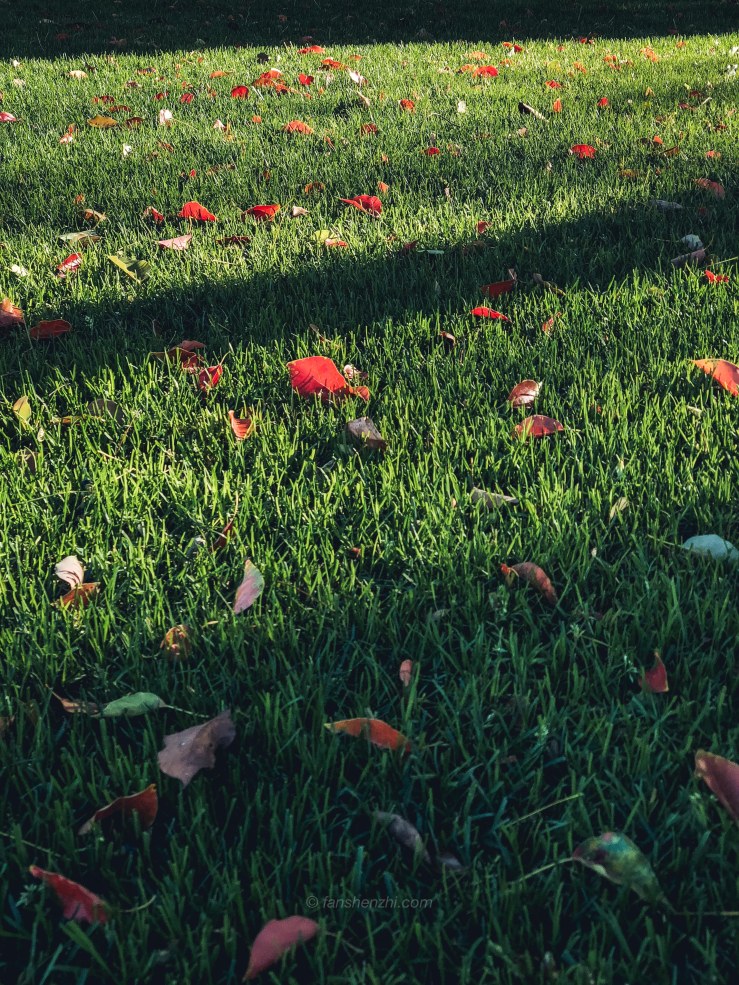 2018.3.美国日本游记 WordPress-86