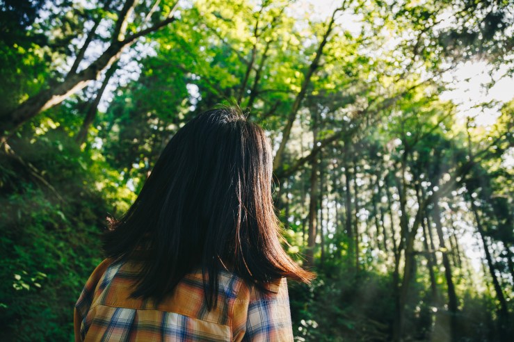 日本之旅 WordPress-29