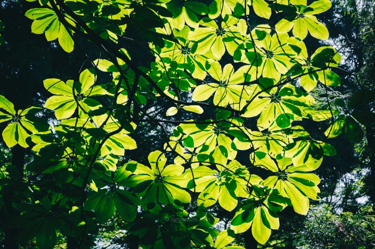 日本之旅 WordPress-30