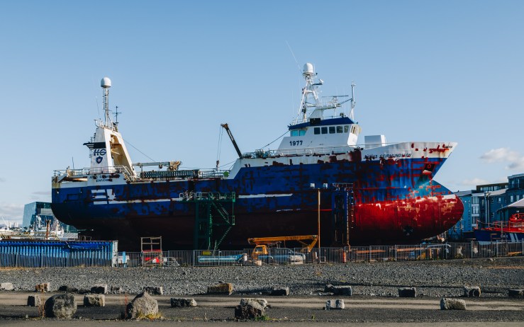 Iceland WordPress-10