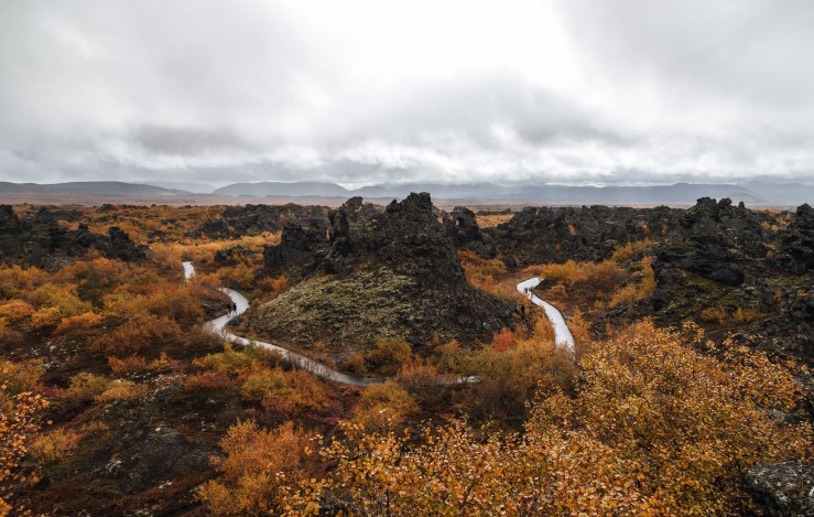 Iceland WordPress-108