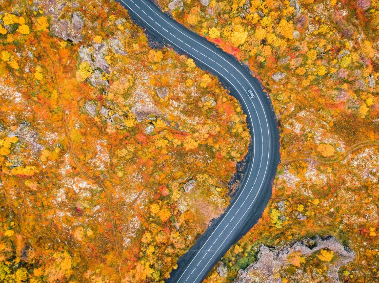 Iceland WordPress-109