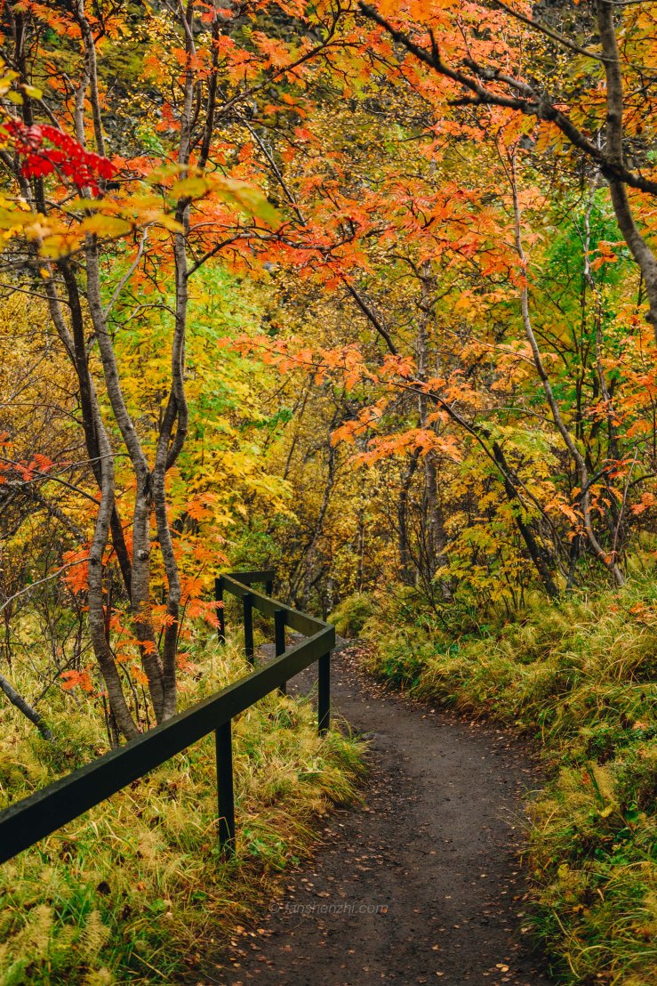 Iceland WordPress-118