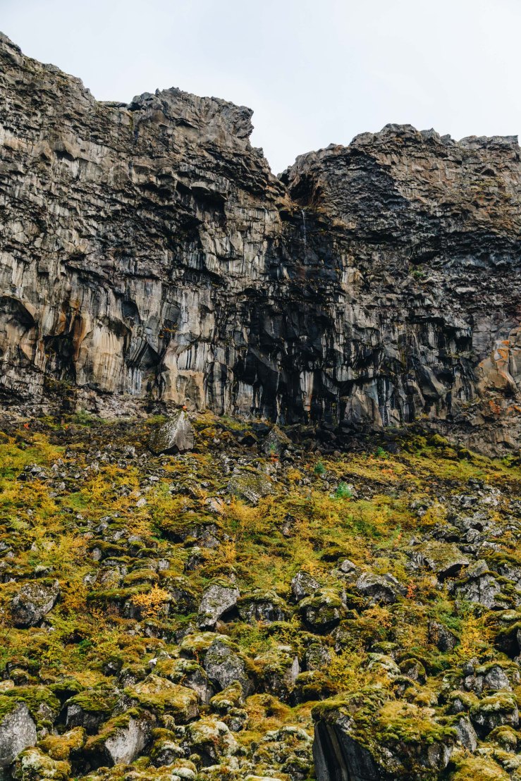 Iceland WordPress-120