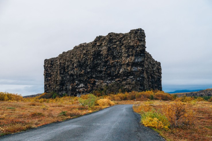 Iceland WordPress-121