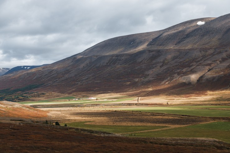 Iceland WordPress-125