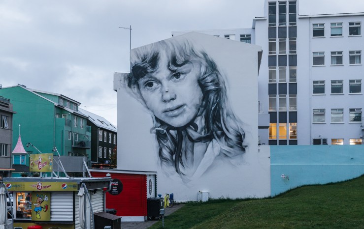 Iceland WordPress-138