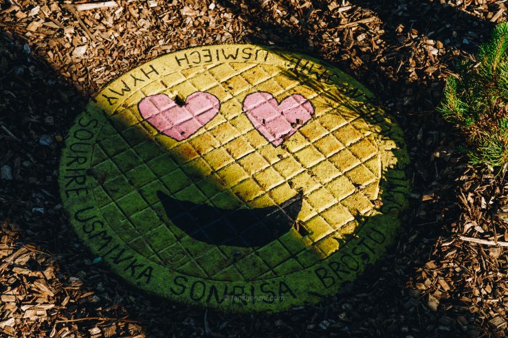 Iceland WordPress-16