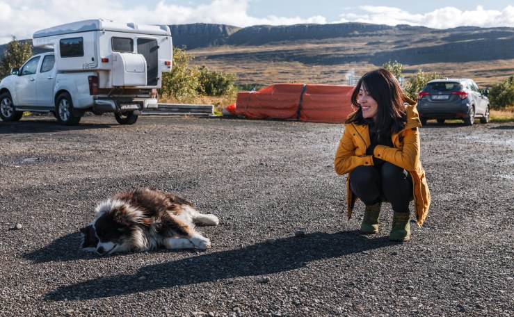 Iceland WordPress-181