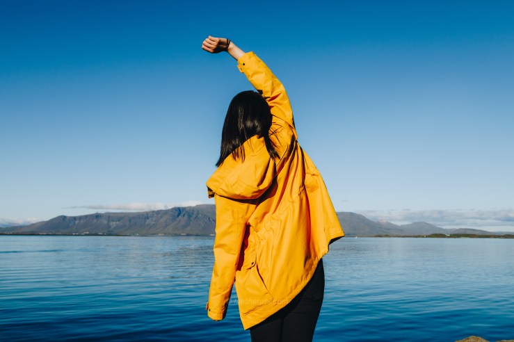 Iceland WordPress-20