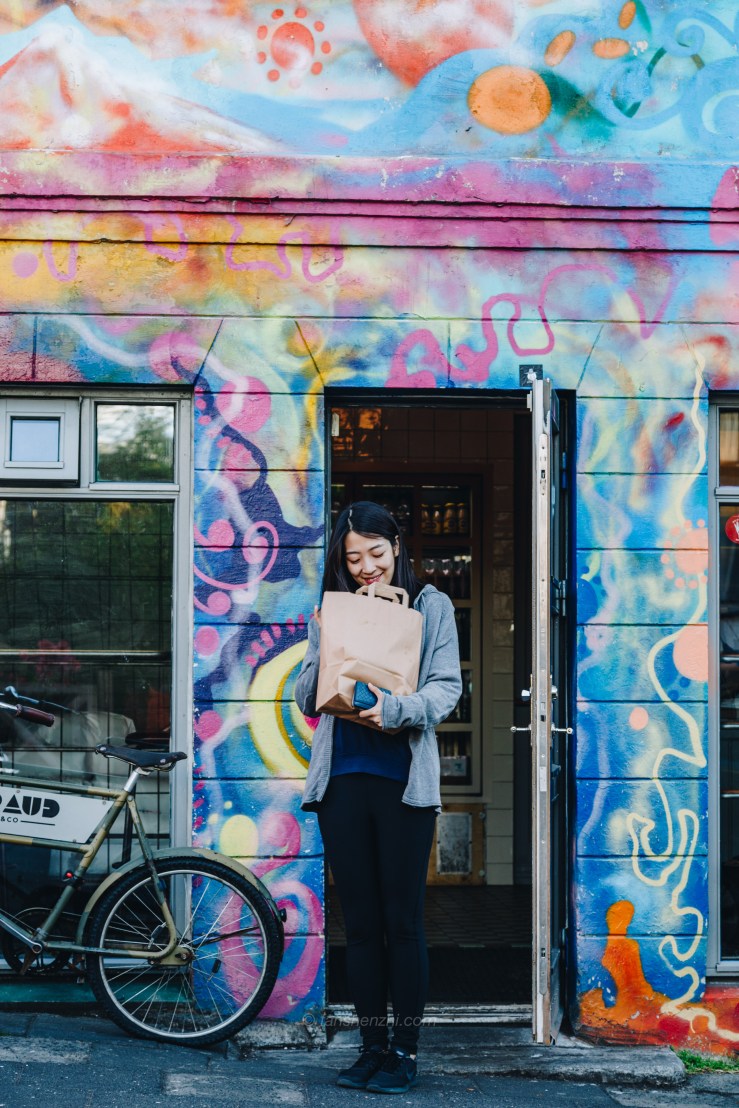 Iceland WordPress-23