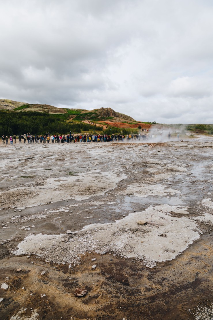 Iceland WordPress-29