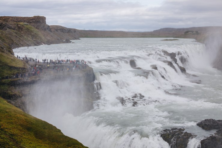 Iceland WordPress-33