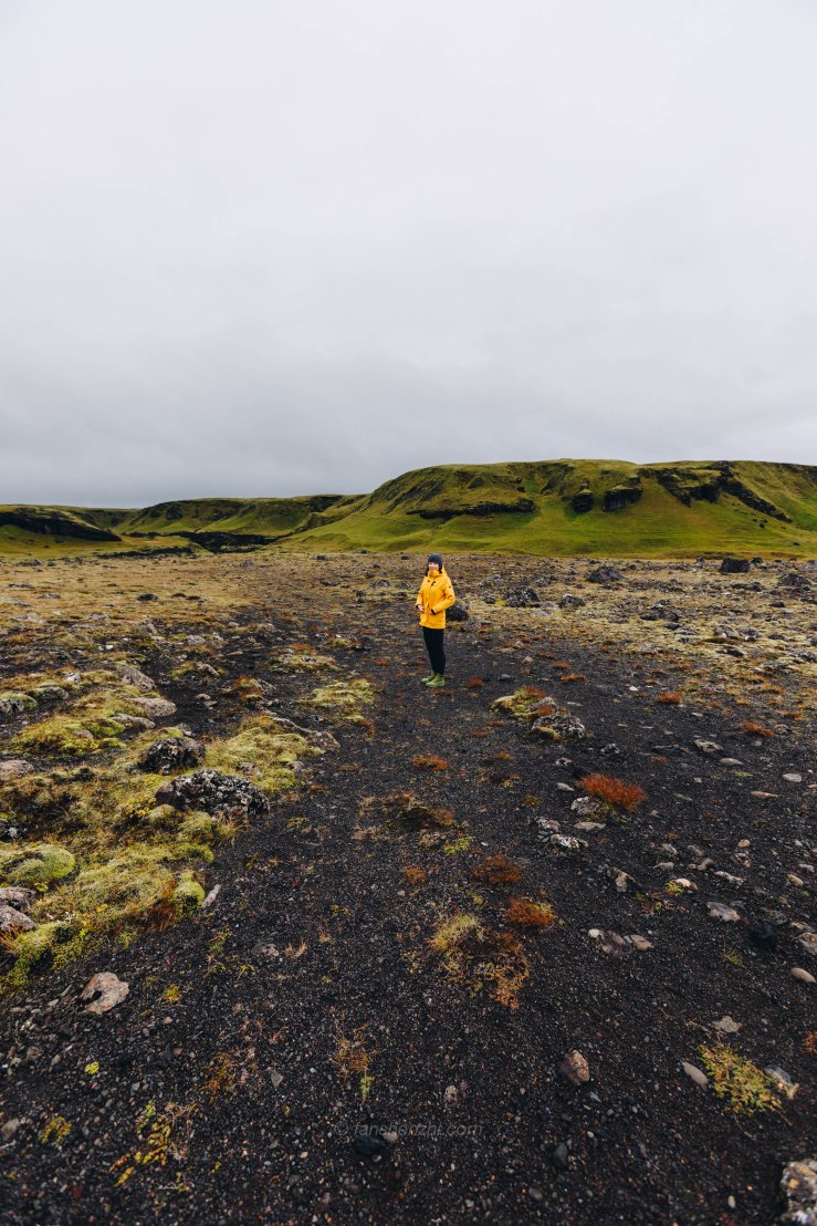 Iceland WordPress-61