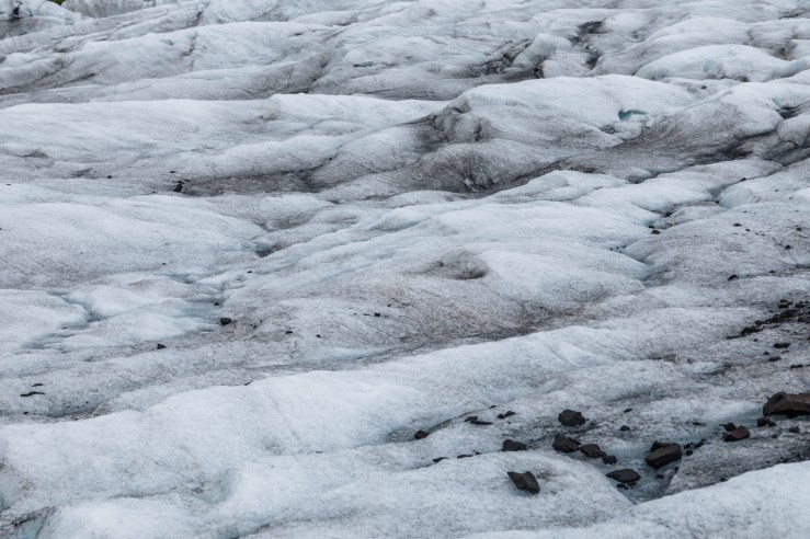 Iceland WordPress-70