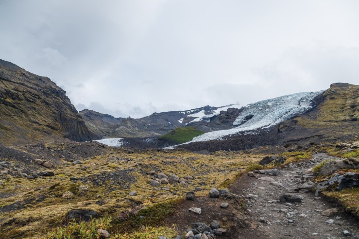 Iceland WordPress-72