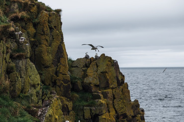 Iceland WordPress-89